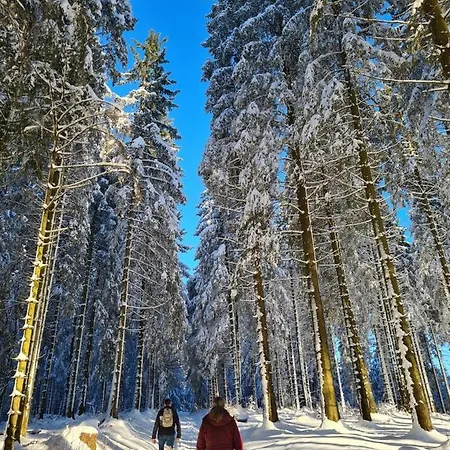 Jagthaus Am Rappelstein Prázdninový dům *