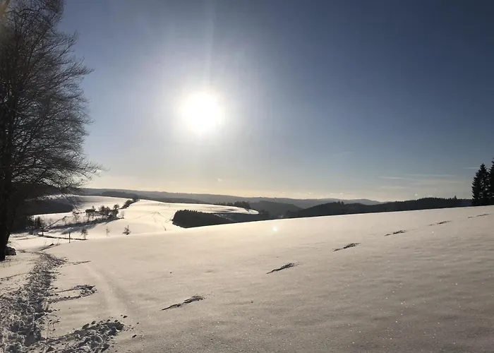 Jagthaus Am Rappelstein 度假居 *