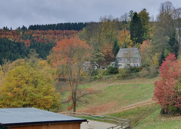 度假居 Jagthaus Am Rappelstein *