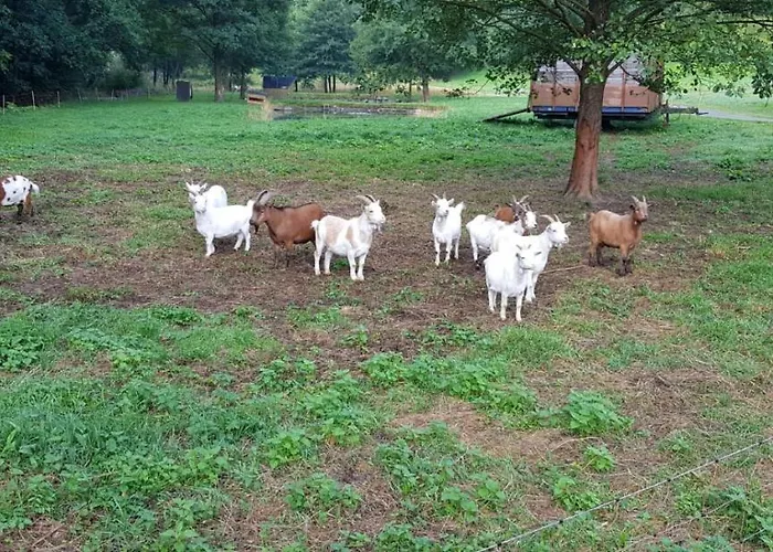 Jagthaus Am Rappelstein 施马伦贝格